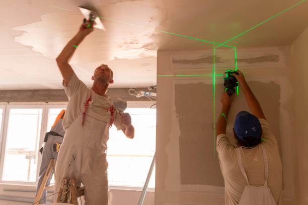 Best Black Mold Removal  in Aberdeen, MS