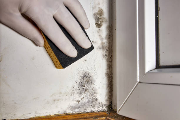 Best Post-Remediation Verification Testing  in Aberdeen, MS